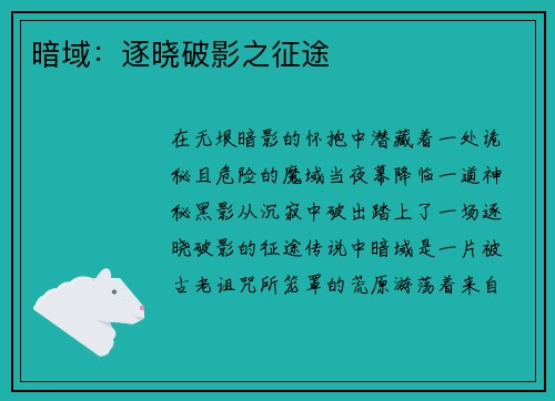 暗域：逐晓破影之征途